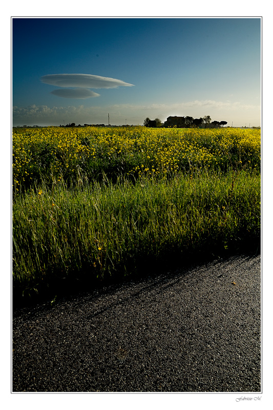 Il mattino primaverile