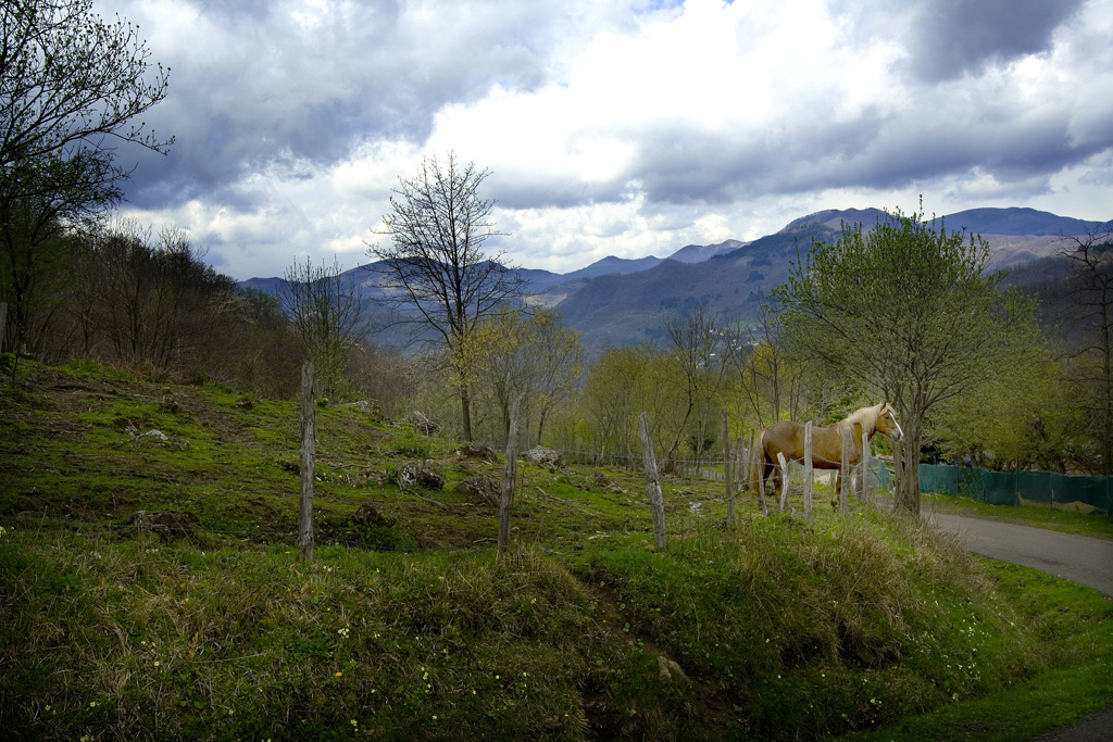 In attesa della pioggia