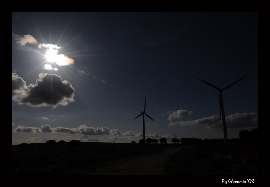 Paesaggio in controluce