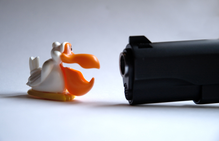 Morte di un uccello viaggiatore - Parte seconda