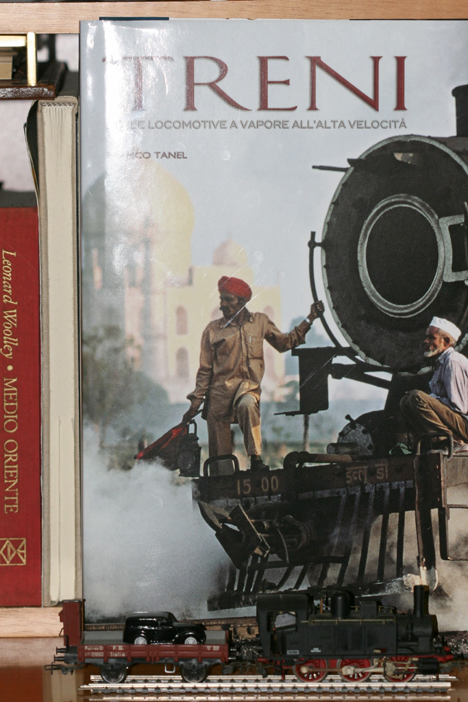 ... TUTTO SUI TRENI.