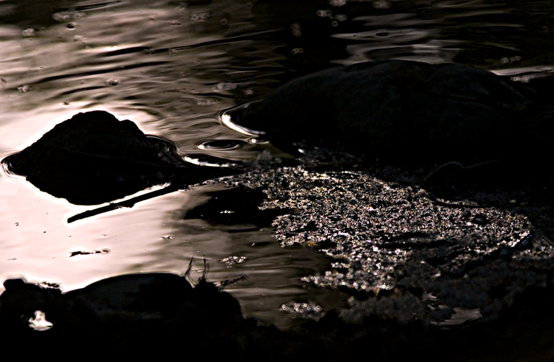 Impressionismo naturale