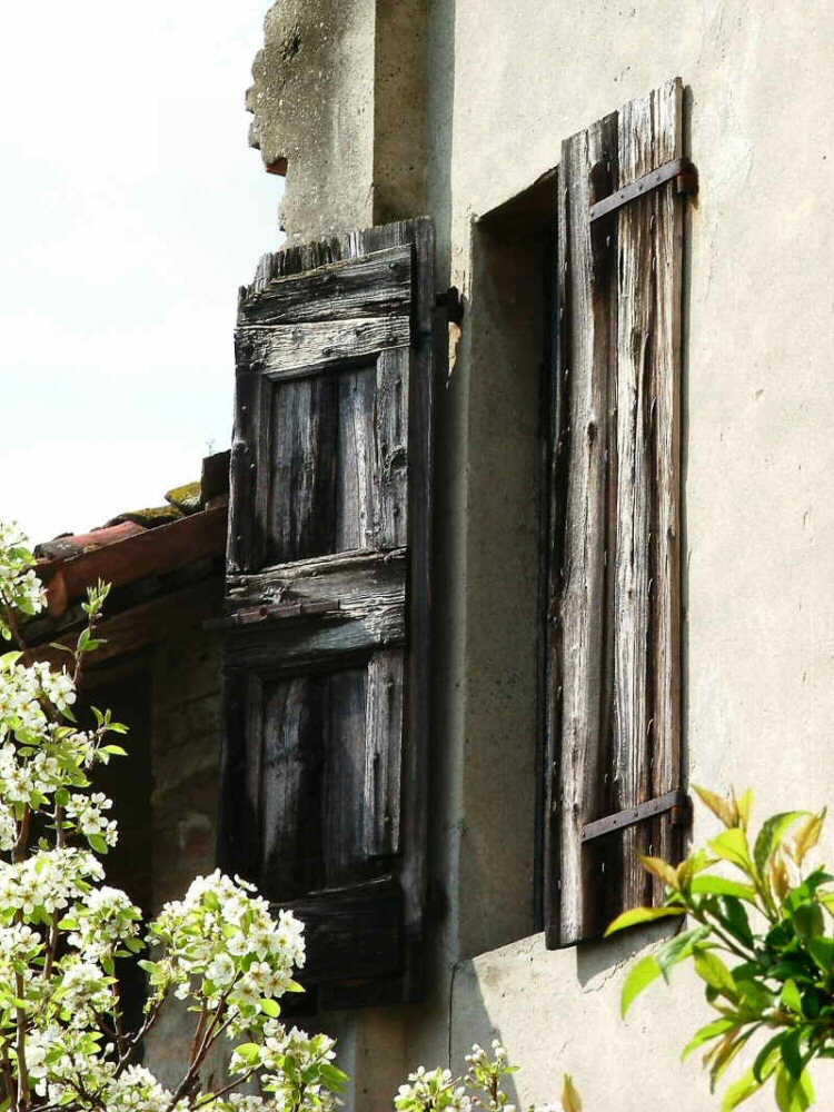 La finestra sul cortile