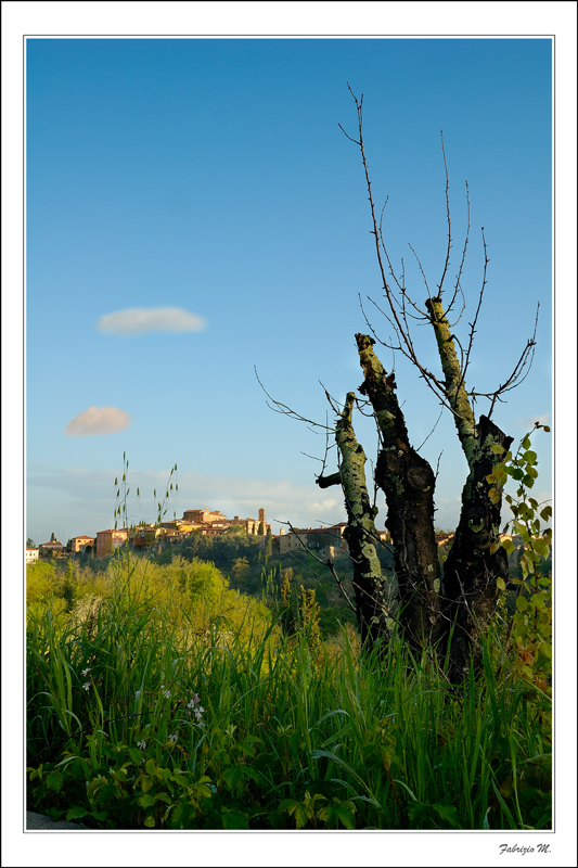 i colori della rinascita