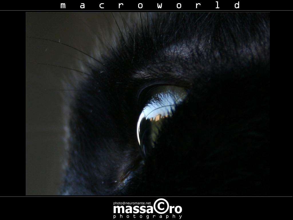 looking at my favourite tree