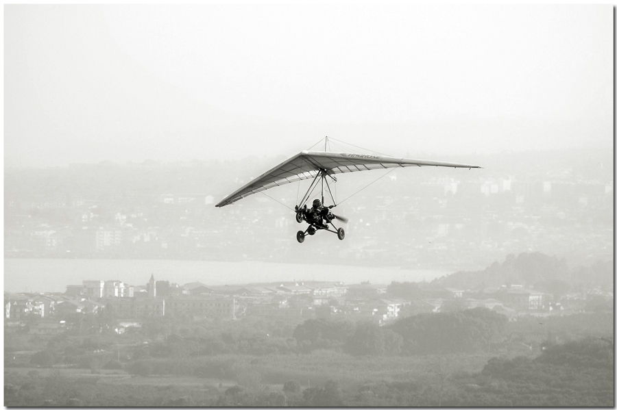 aquila sulla citt�