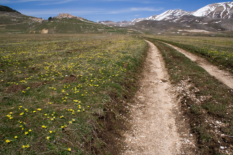 castelluccio