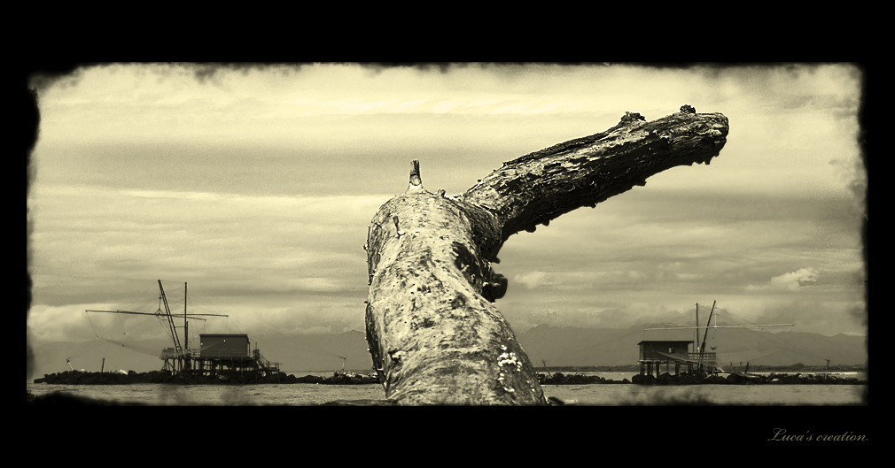 marina di Pisa...50 anni fa