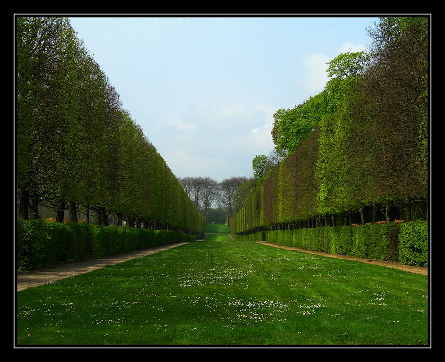 Perspective in Versailles