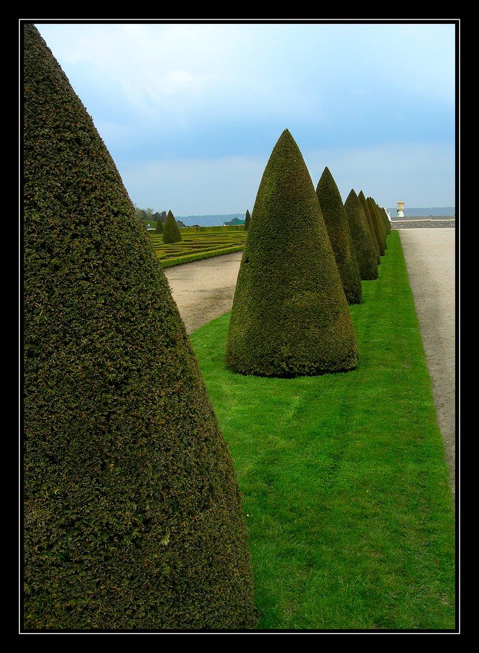 Perspective in Versailles 2