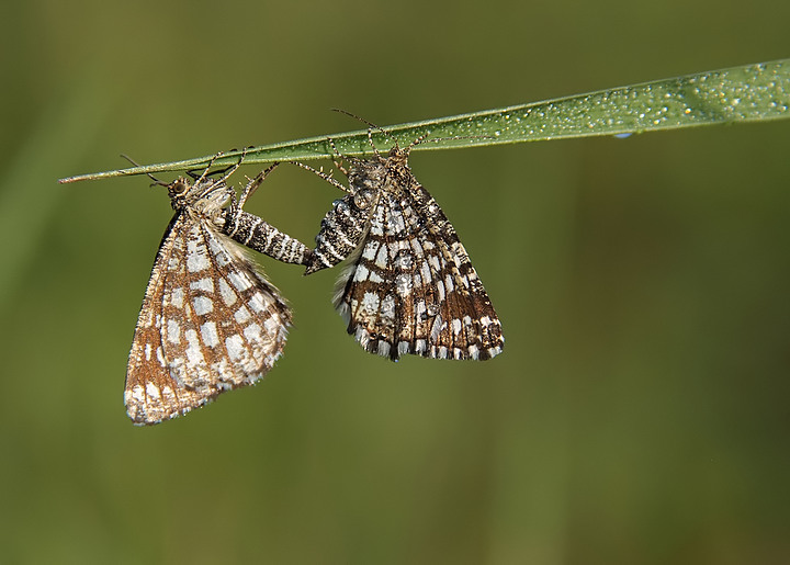 ..... stendi i panni ....