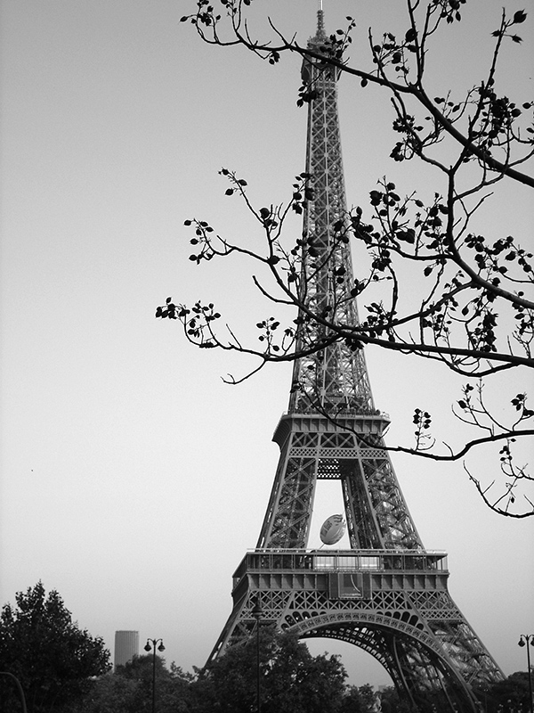 Tour Eiffel dai Giardini del Trocadero