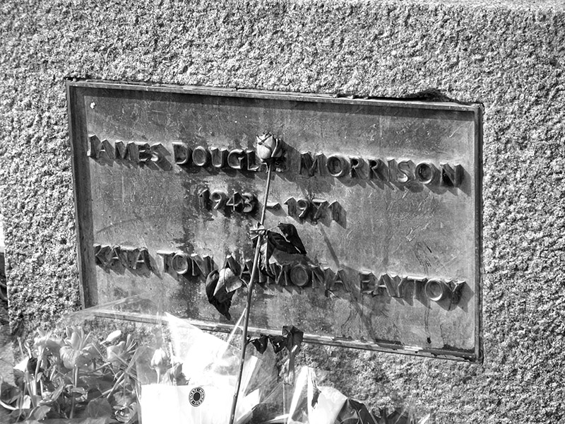 This is the end, beautiful friend