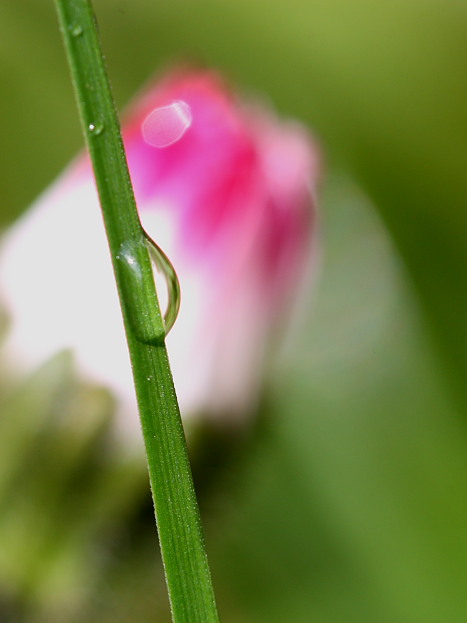 geometrie e intersezioni