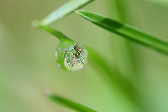 sfericit� dell'acqua