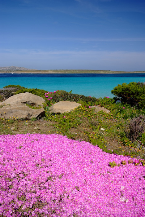 Tinte primaverili in Sardegna