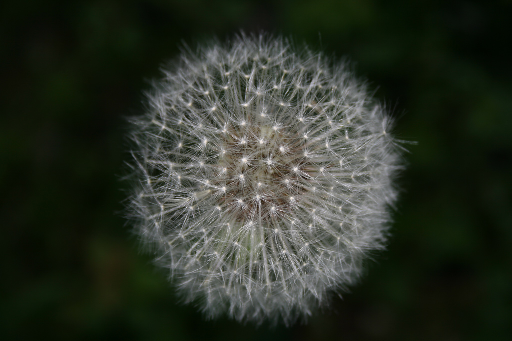 ..fuoco d'artificio..