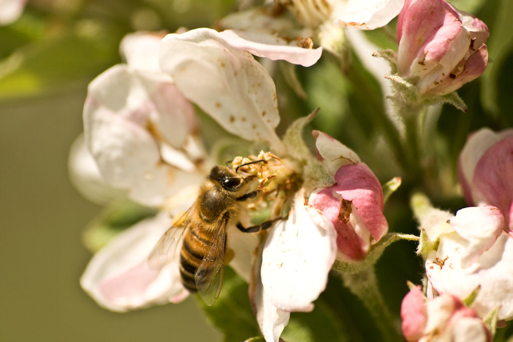 E' ora della pappa !!!