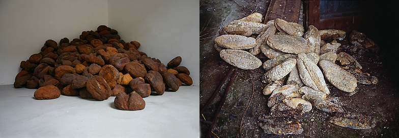 Dacci oggi il nostro pane quotidiano