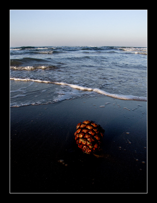 Sola di fronte al mare