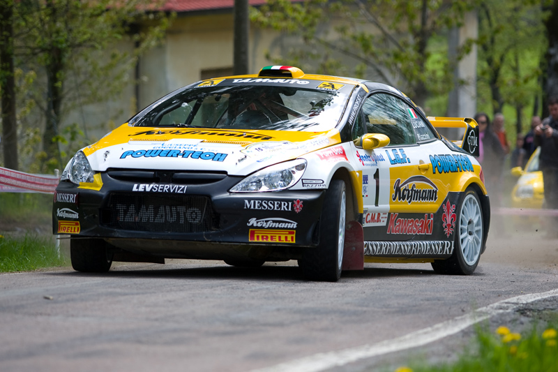 Rally del Taro 2008 - Scatti alternativi (per me)