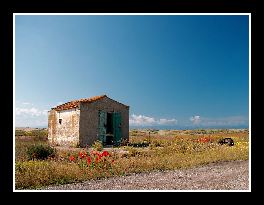 ...La grazia e l'abbandono...