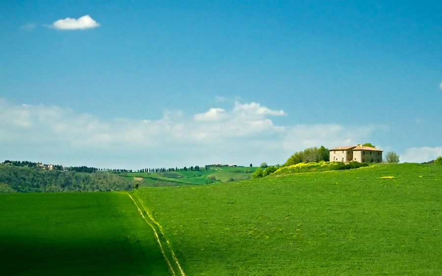 Verso il verde