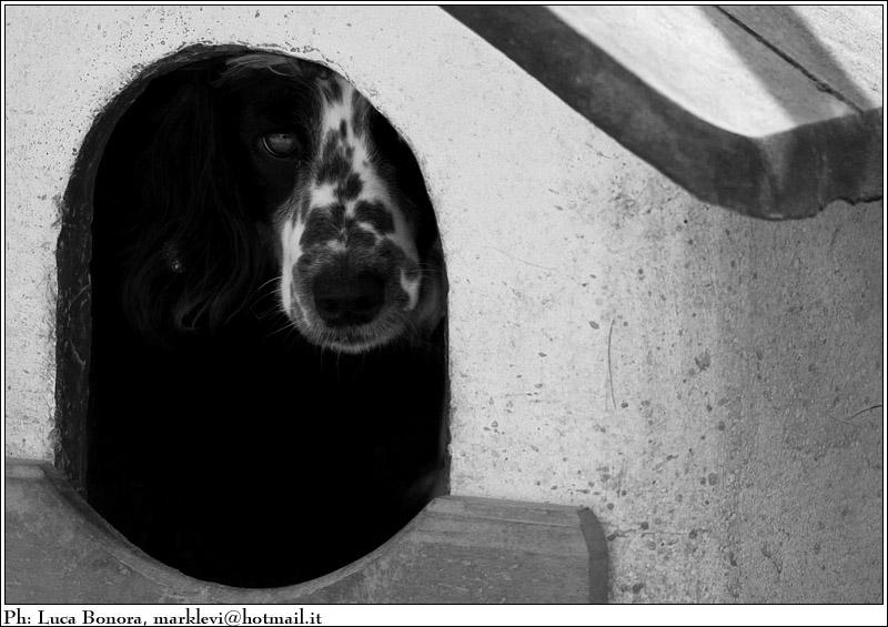 nella grotta artificiale