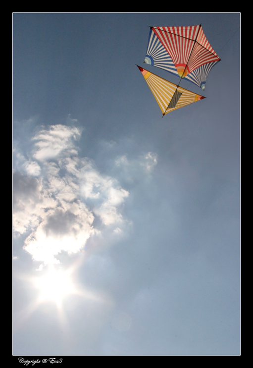 Ferrara - Vulandra 2008