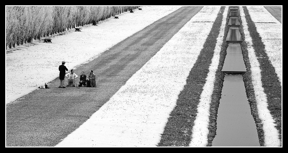 nel mezzo del cammin di nostra vita_IR