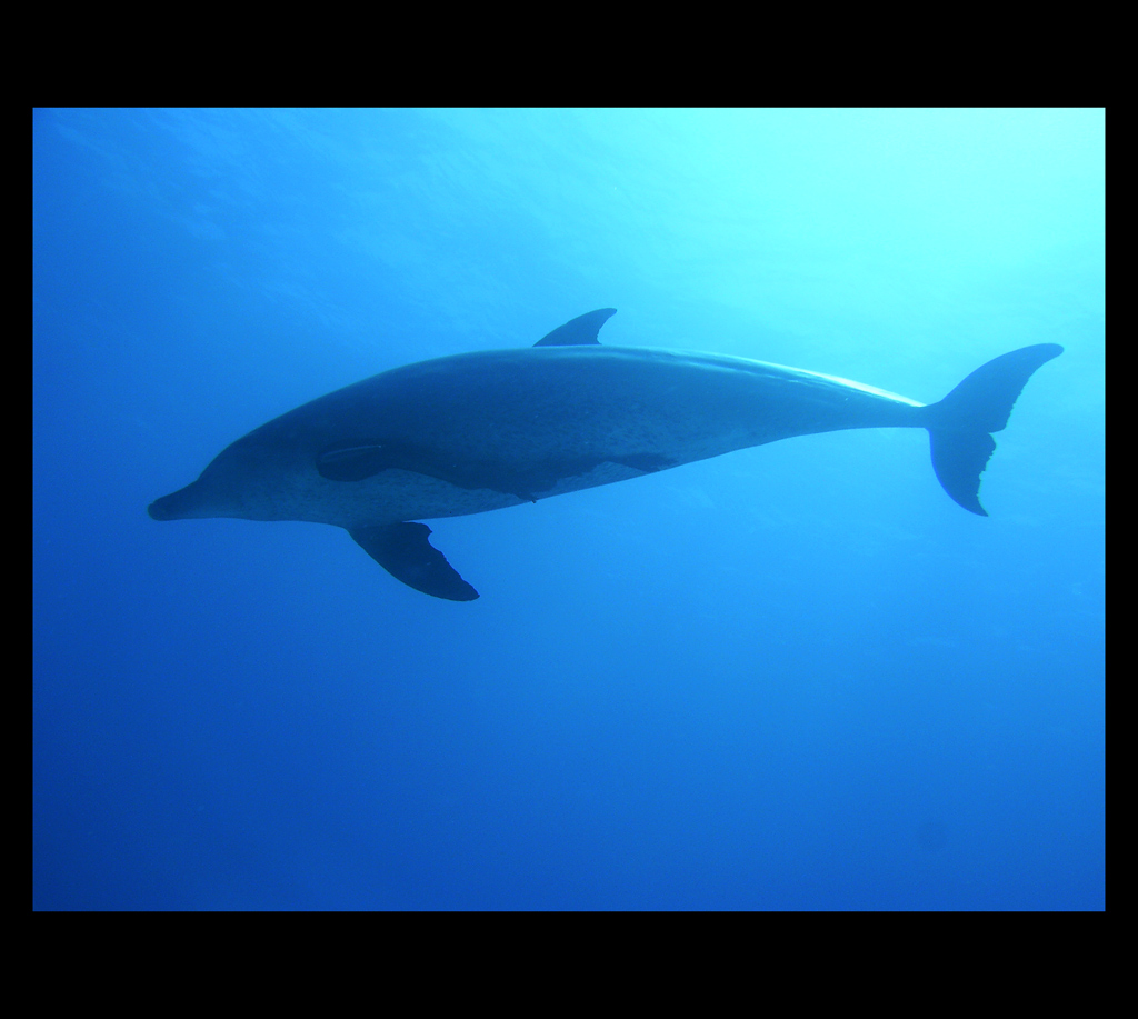 incontri ravvicinati