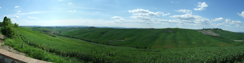 Panorama Colline senesi (3)