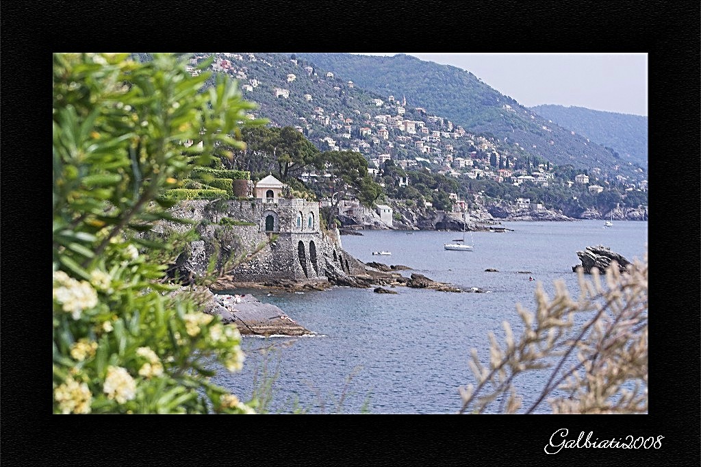 nervi04