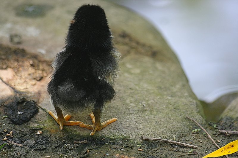 Facing a new life....