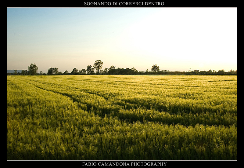 sognando di correrci dentro