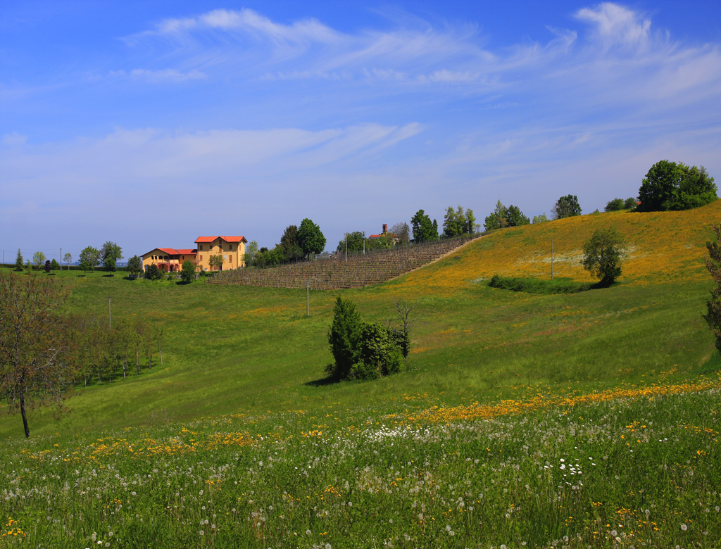 Collina Monregalese (CN)