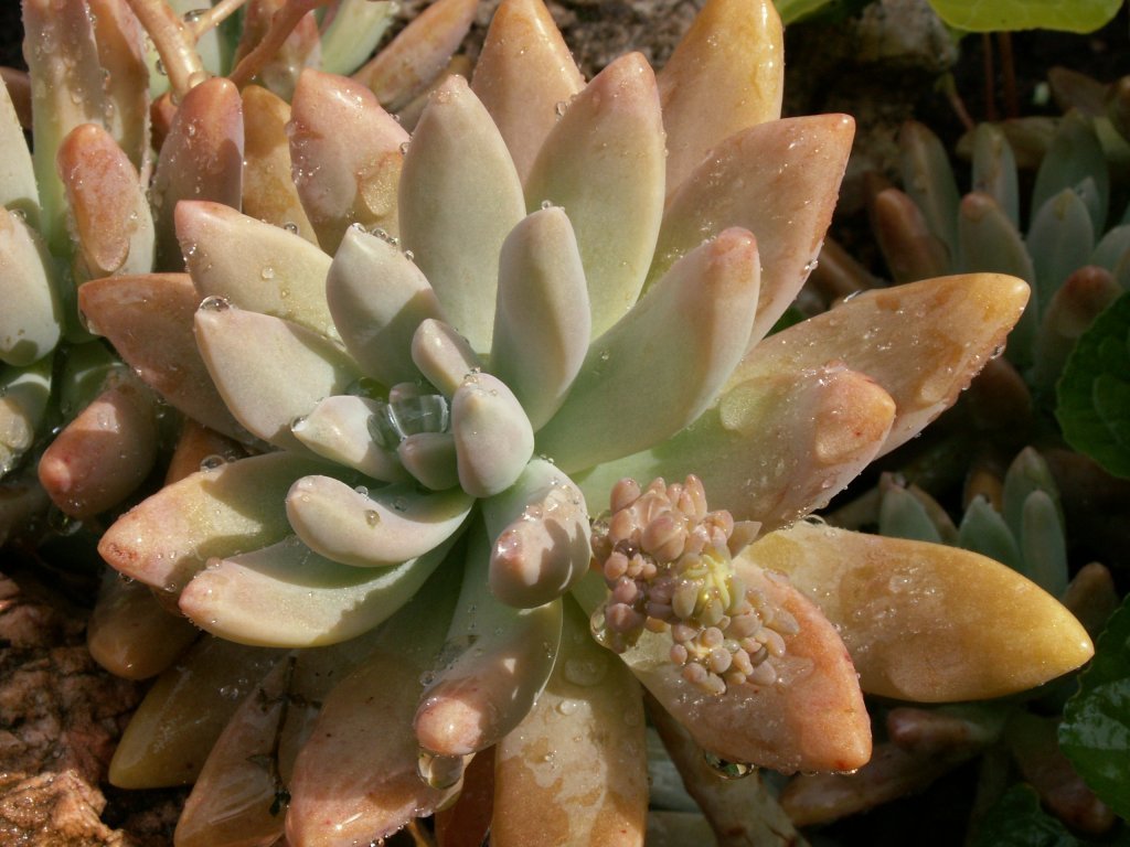 ...dopo il temporale