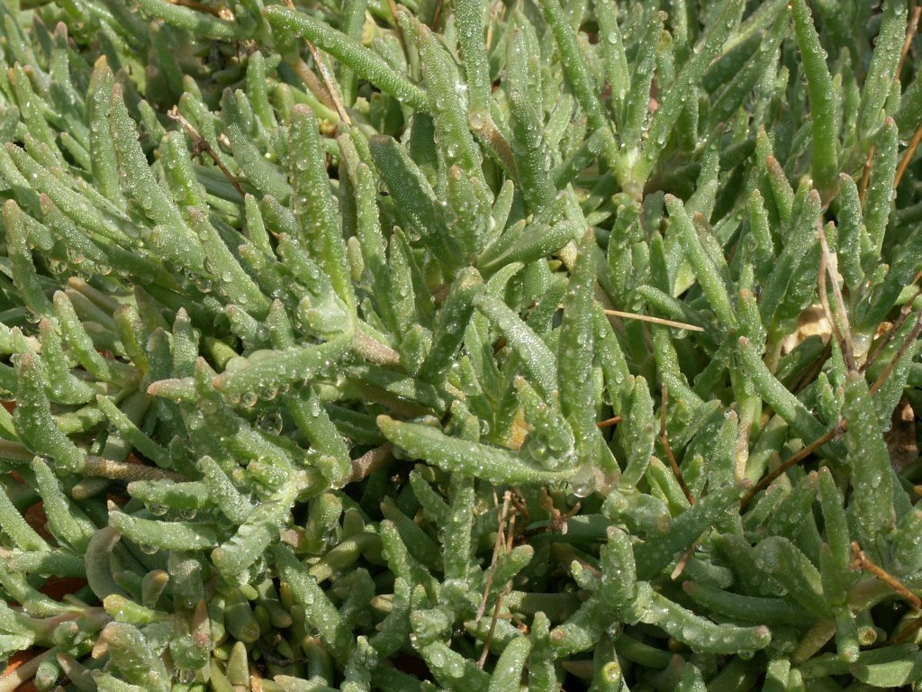 ...dopo il temporale