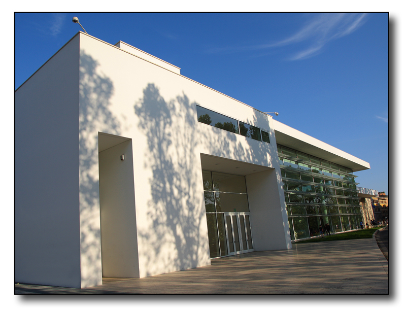 La teca tanto discussa