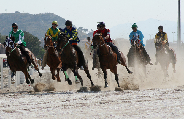 il palio a cagliari..............