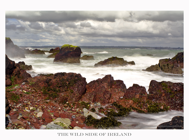 The Wild Side of Ireland