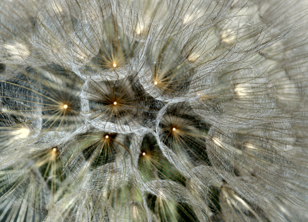 QUASI FOSSE UN LAMPADARIO