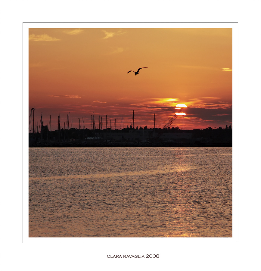 L'ultimo volo del giorno......