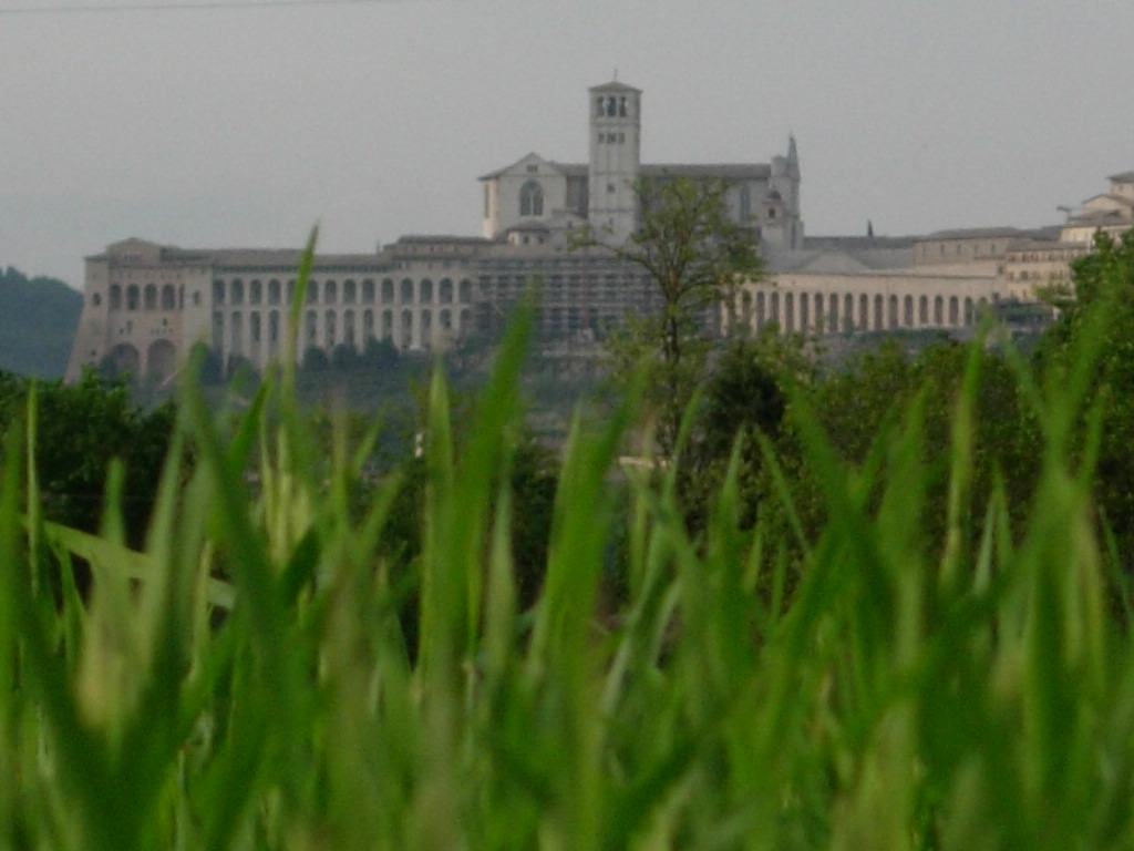 San Francesco Di Assisi