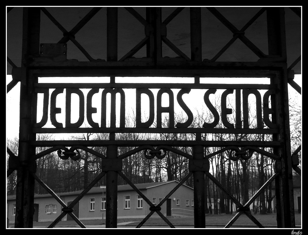 Ingresso al "Bosco di faggi"