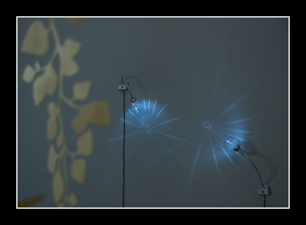 edera al chiaro di luce