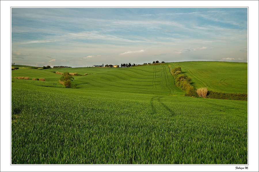 Crop lines