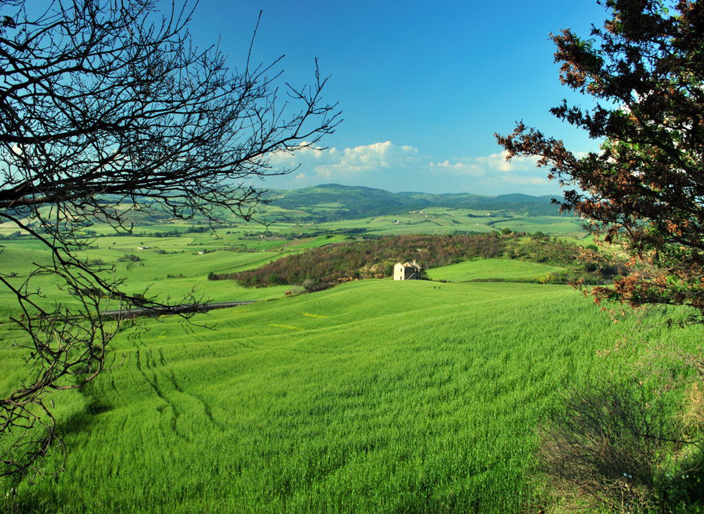 Il riposo della mente.....