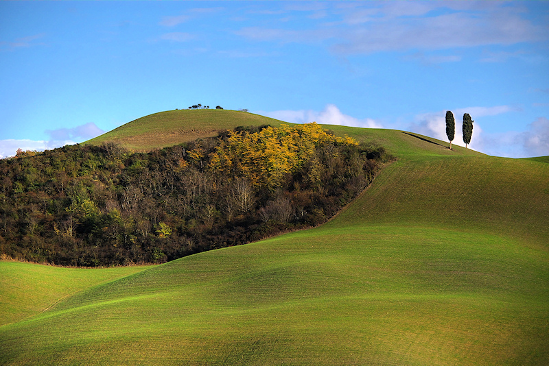 ..essenza toscana VIII..