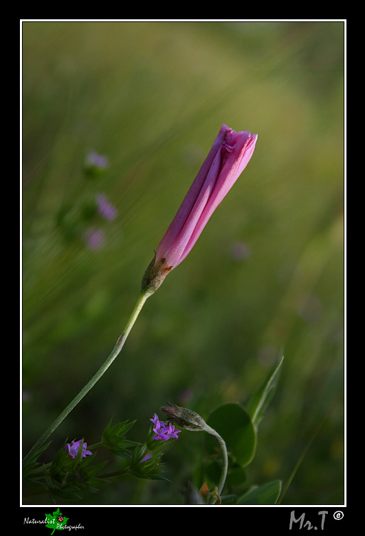 mi preparo per la notte